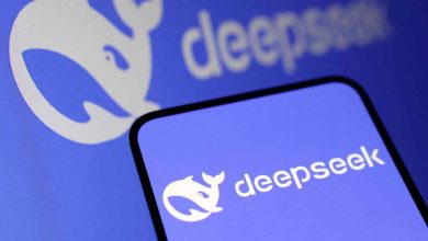 DeepSeek-V3.1