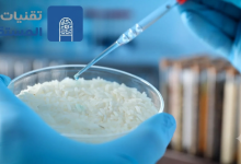 تطوير مادة ذكية ذاتية التكيف مستوحاة من الخصائص الميكانيكية لحبوب الأرز